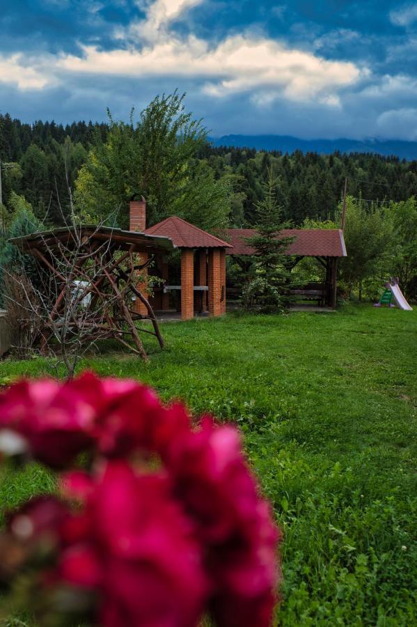 Pensiunea Mara *** Borşa Exterior foto