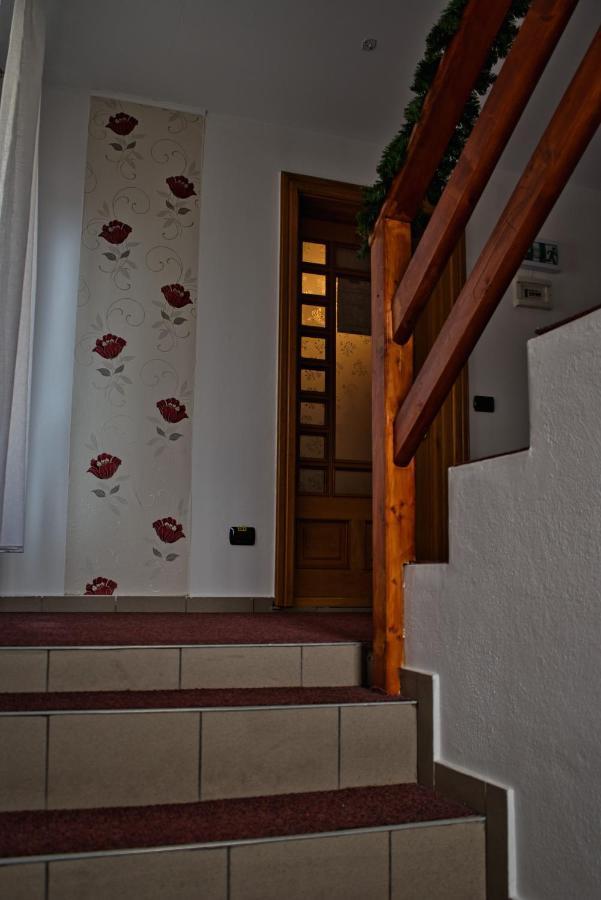 Pensiunea Mara *** Borşa Exterior foto